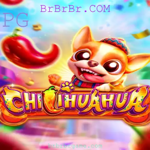Descubra o Fantástico Mundo do Jogo 'CHILIHUAHUA'