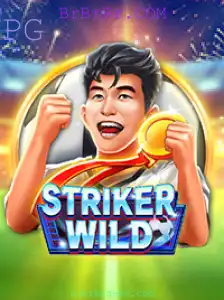 Explorando o Mundo Dinâmico de StrikerWILD